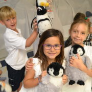 2nd grade black and white day penguins