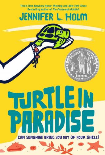 Turtle in paradise cover